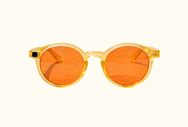 vacation-style-round-womens-ai-glasses